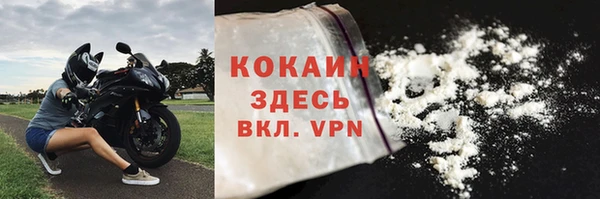 гидра Арсеньев