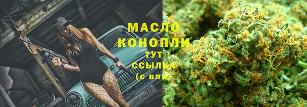 гидра Арсеньев
