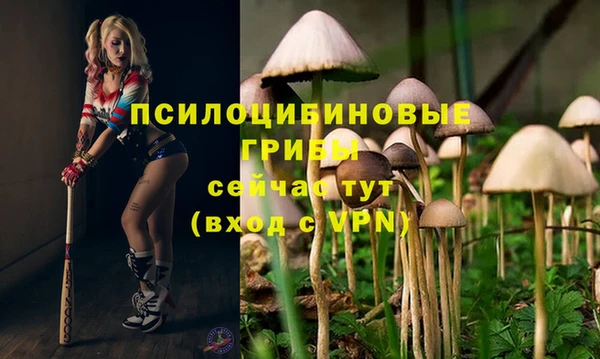 мдпв Армянск