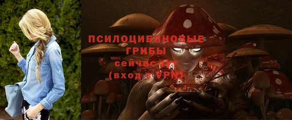 бошки Бикин