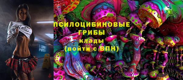 гидра Арсеньев